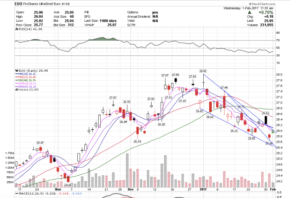 screen-shot-2017-02-01-at-8-02-27-am