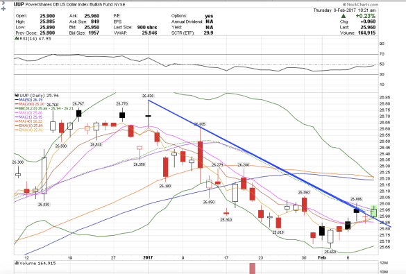 screen-shot-2017-02-09-at-7-21-16-am