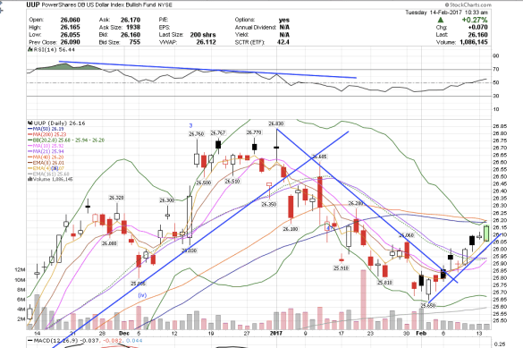 screen-shot-2017-02-14-at-7-33-26-am