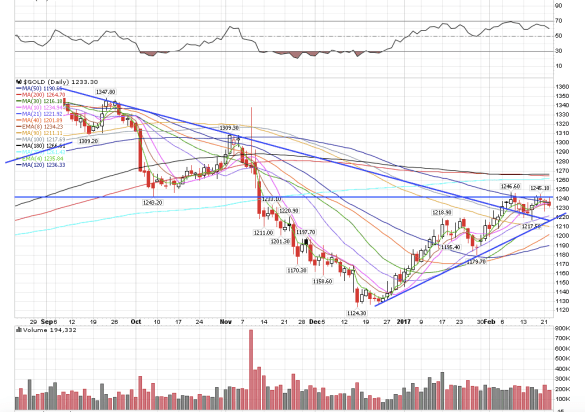 screen-shot-2017-02-23-at-5-04-48-am