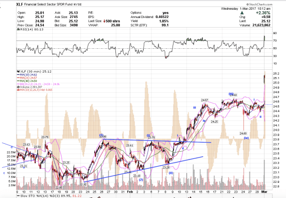 screen-shot-2017-03-01-at-7-13-04-am