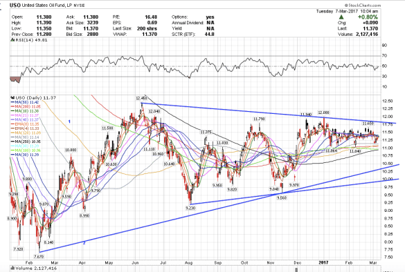 Screen Shot 2017-03-07 at 7.04.26 AM